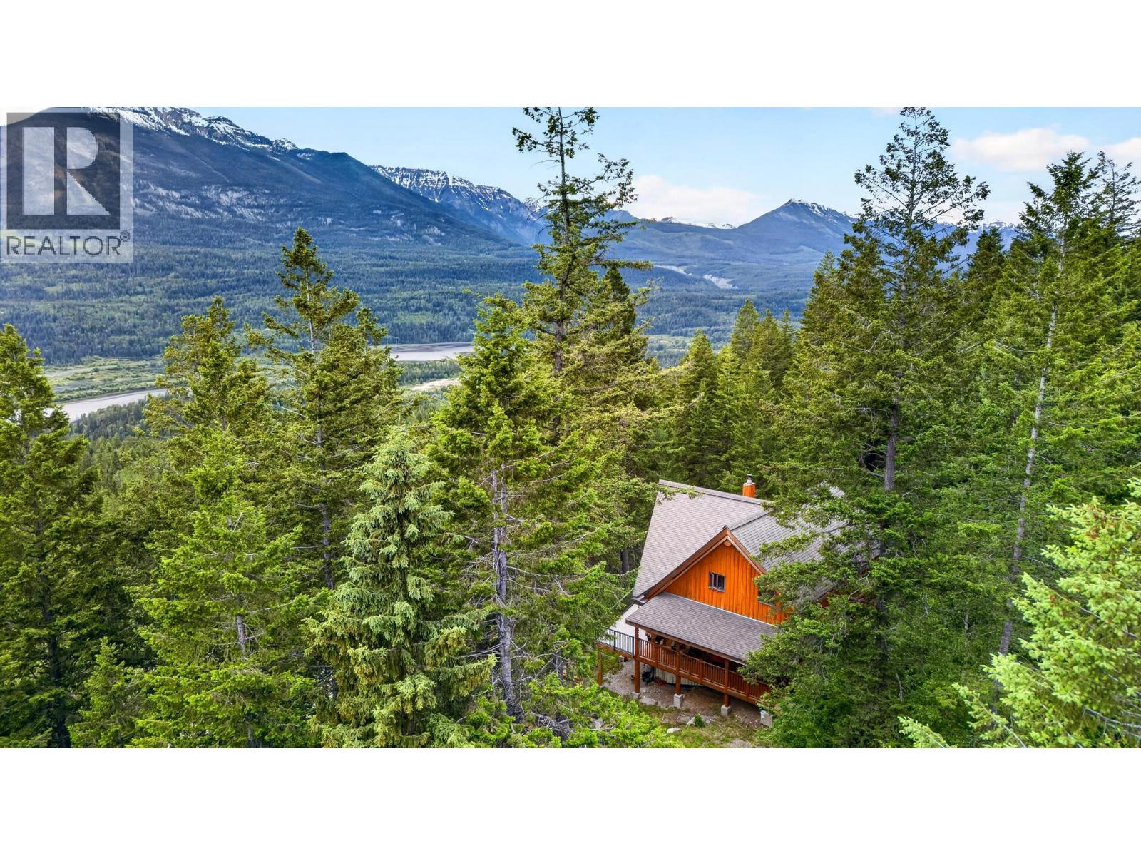 1419 Black Bear Drive - 88