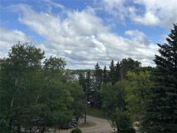 9 Erin Drive, Killarney, MB R0K1G0 Photo 40