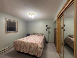 9 Erin Drive, Killarney, MB R0K1G0 Photo 46