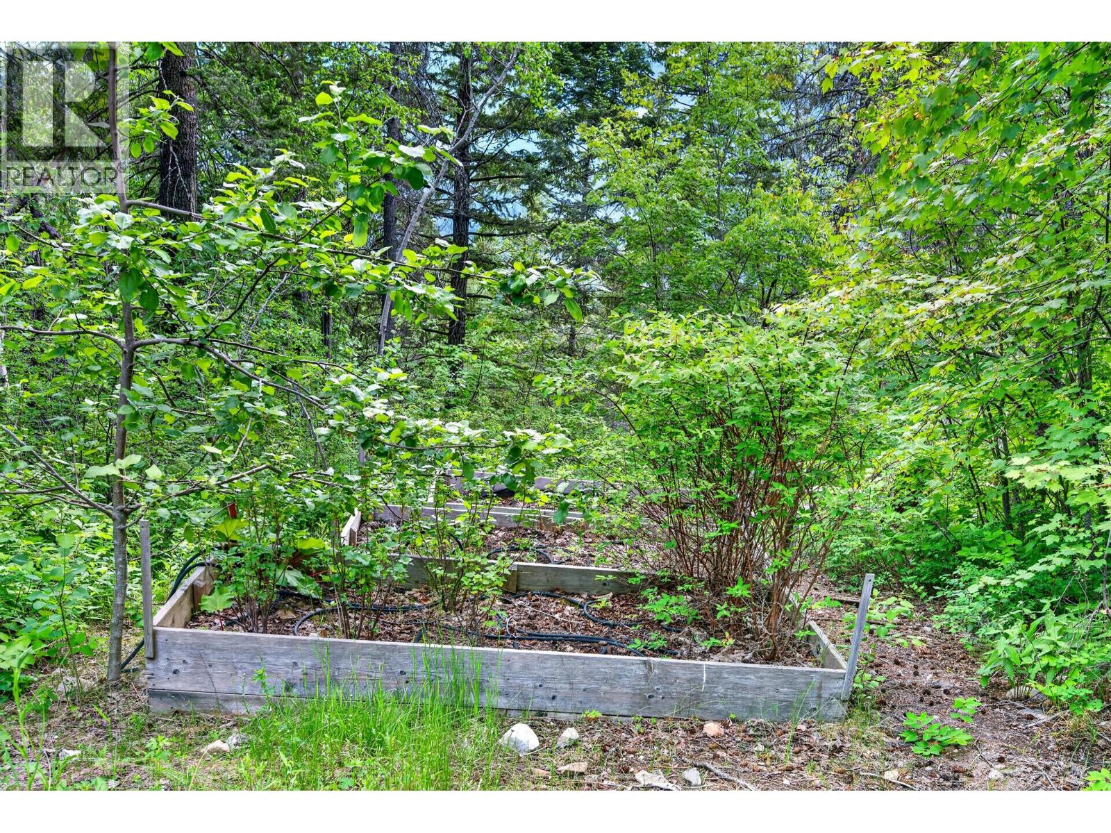 1419 Black Bear Drive - 83