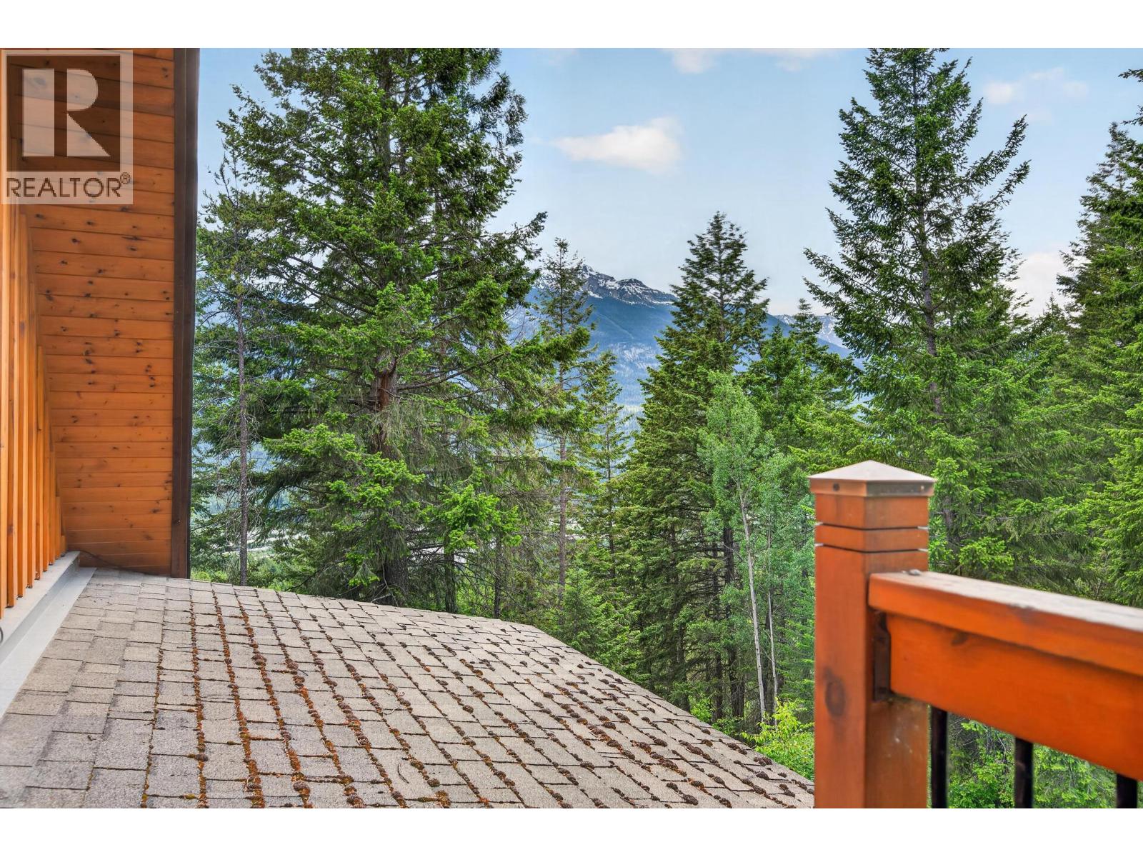 1419 Black Bear Drive - 85