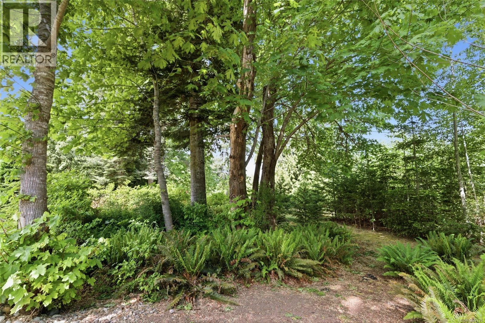 3831 Creekside Dr - 50