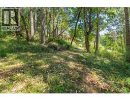 351 Elizabeth Dr, Salt Spring, BC V8K1J5 Photo 50