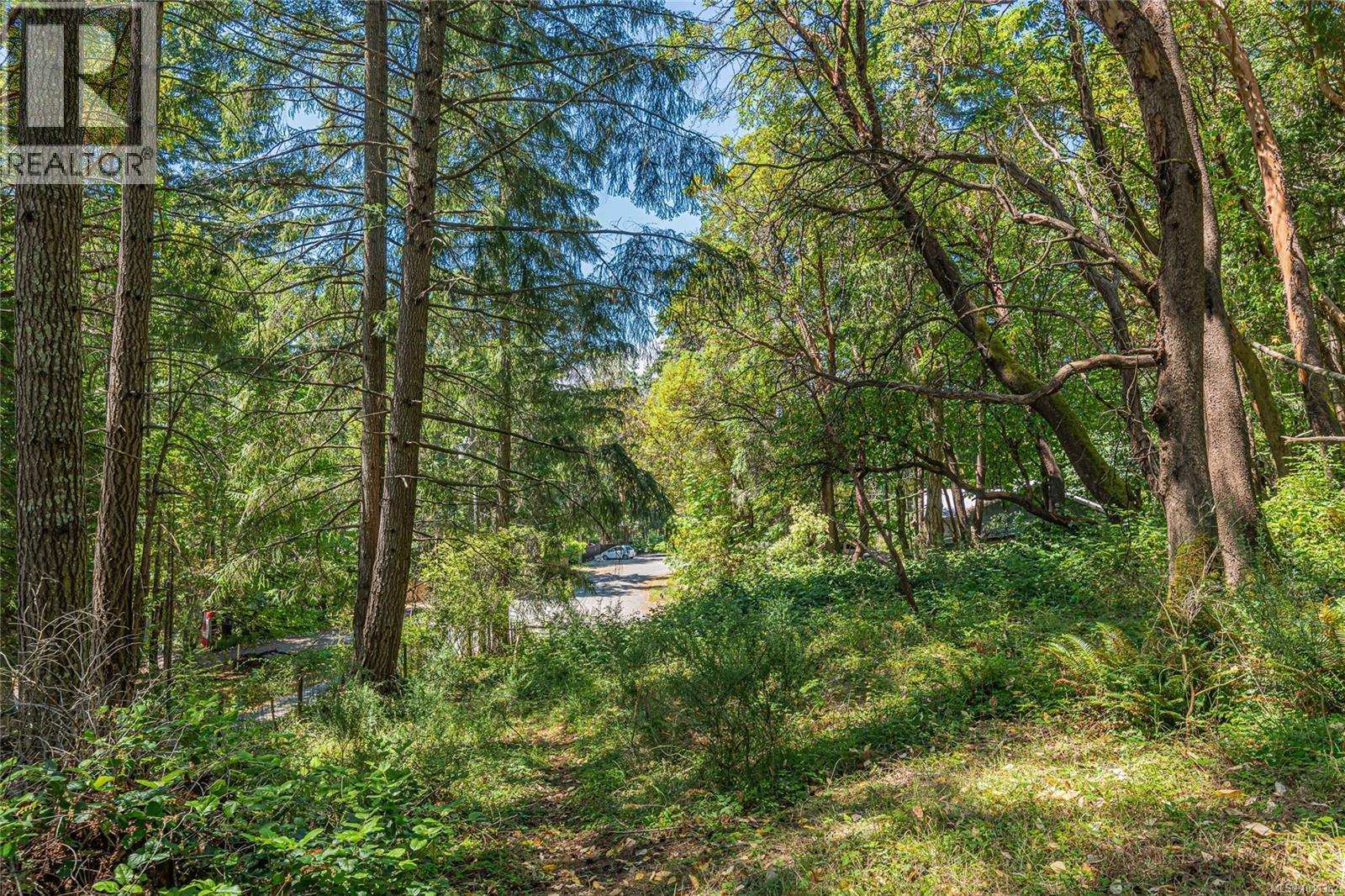 351 Elizabeth Dr - 49