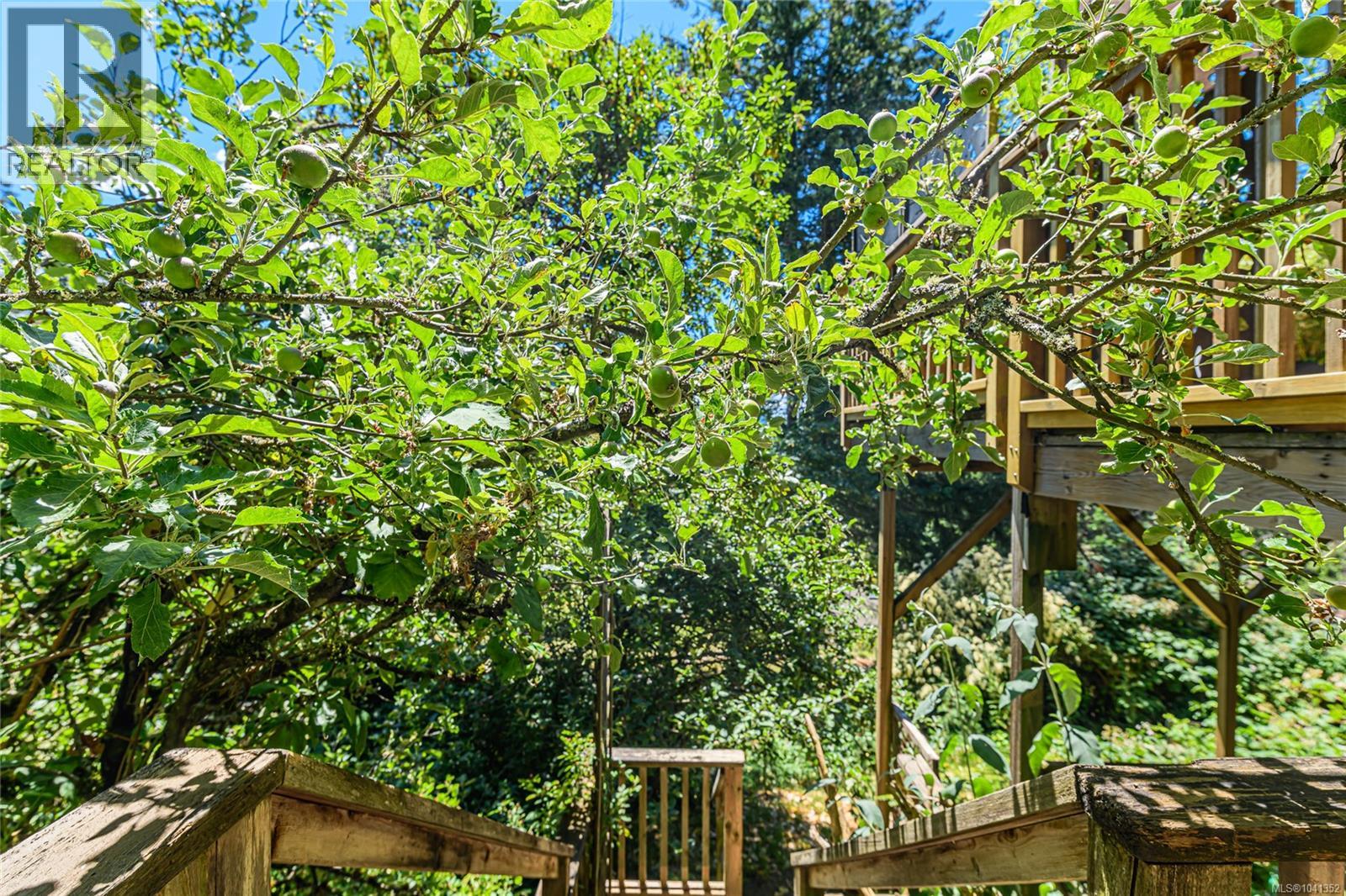 351 Elizabeth Dr - 46
