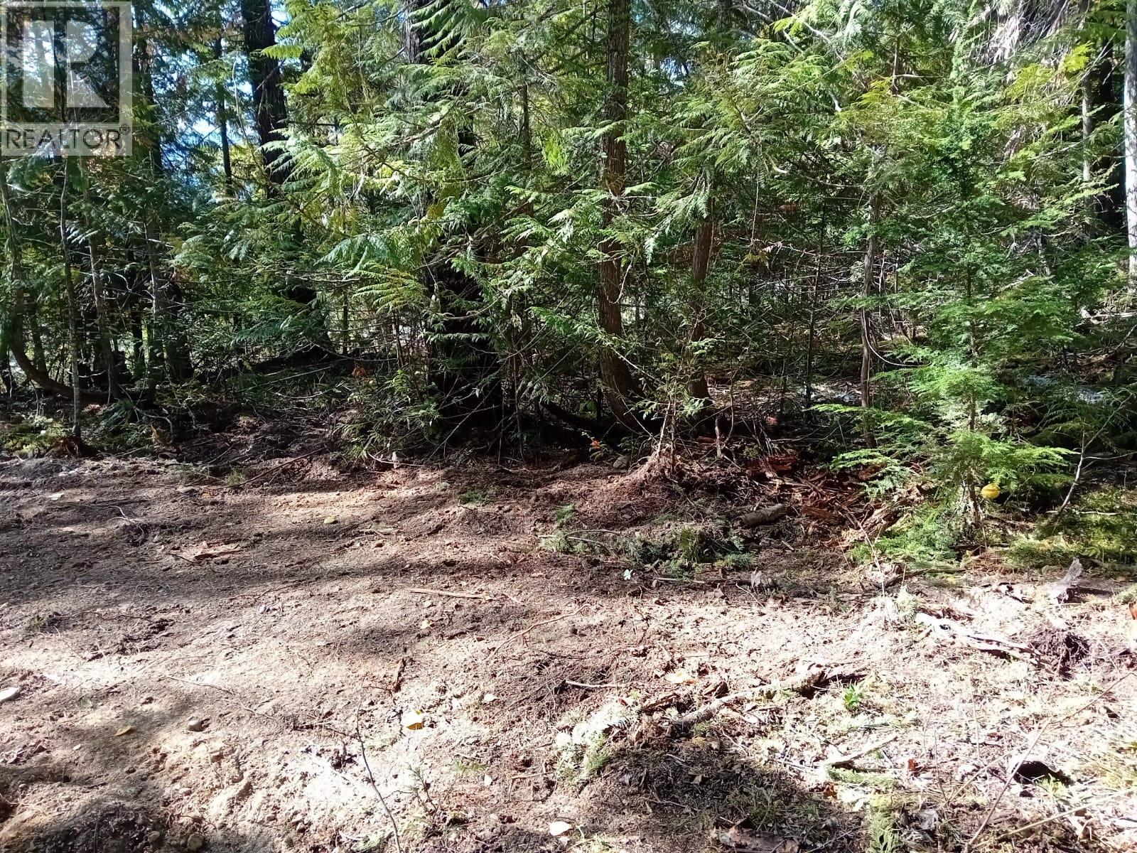 Aspen Road Lot# 372, Anglemont — photo 3