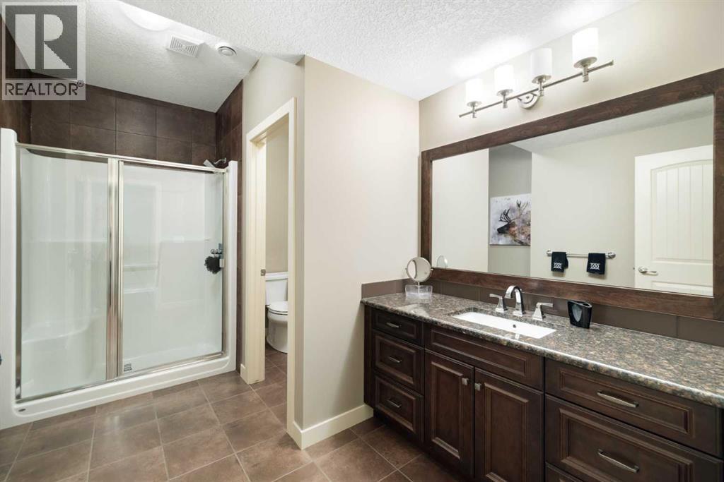 Bathroom - basement
