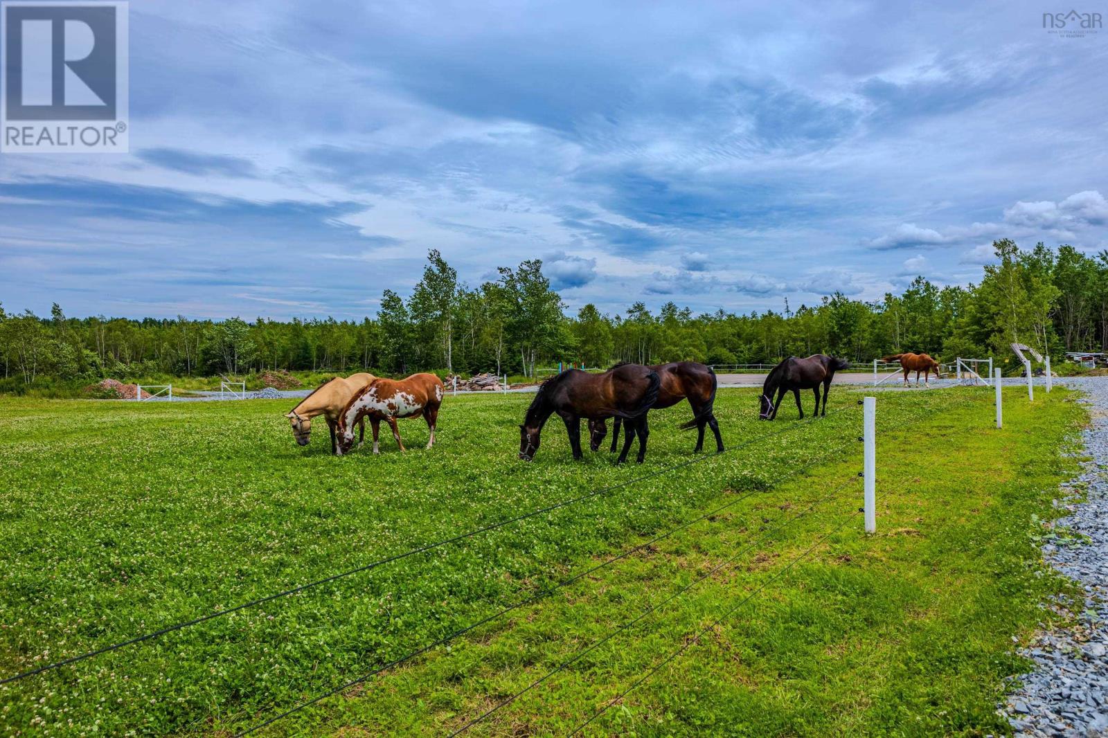 1554 PLEASANT VALLEY Road - 25