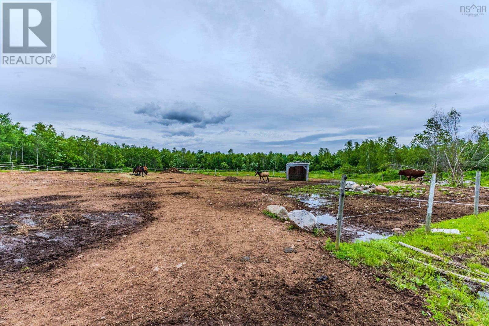 1554 PLEASANT VALLEY Road - 37