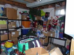 229 Charles Street W, Morris, MB R0G1K0 Photo 11