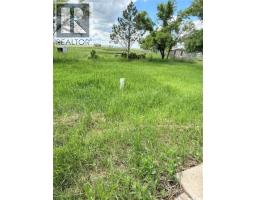 151-201 37 Highway, Shaunavon, SK S0N2M0 Photo 49
