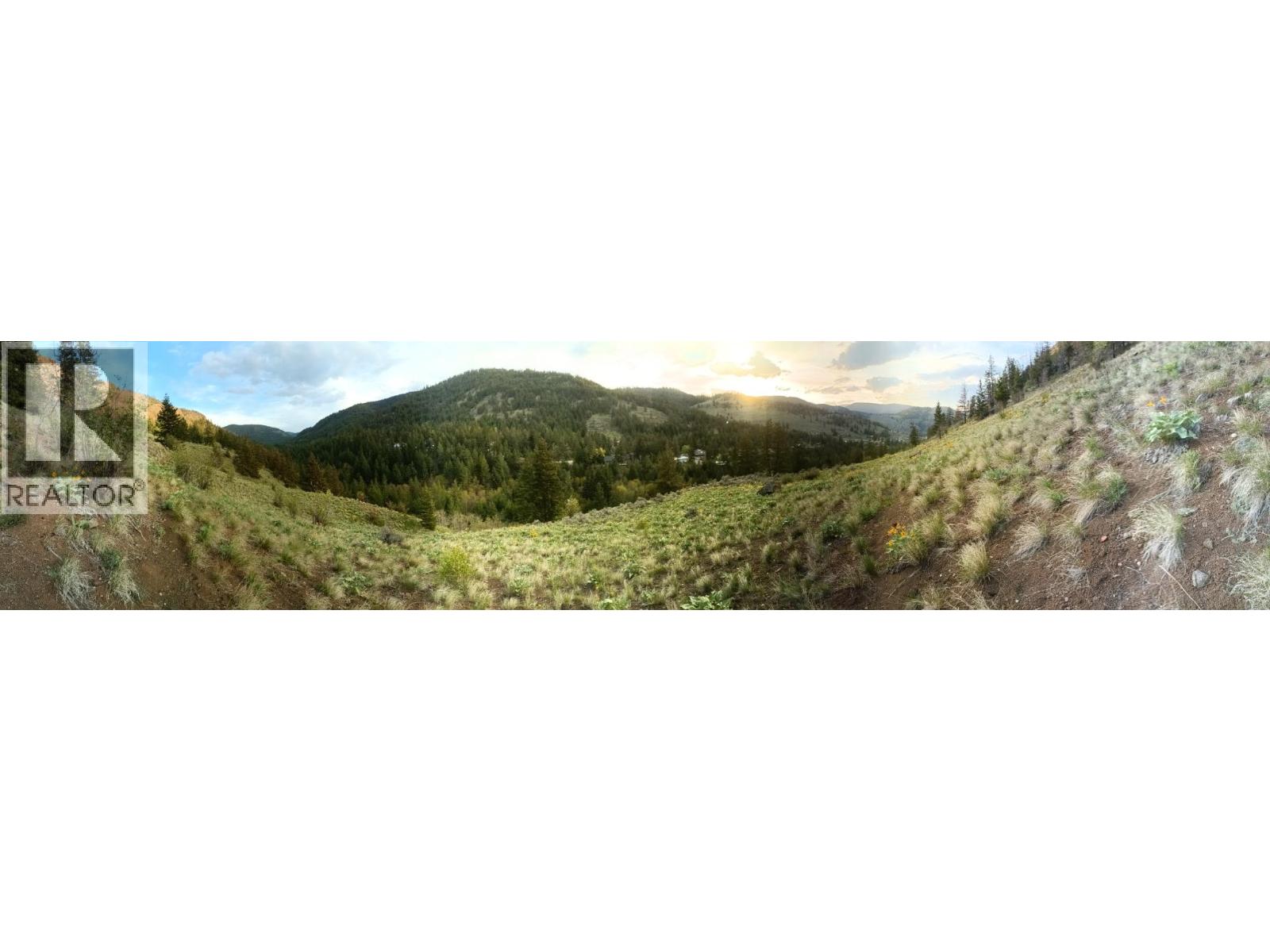 561 Grand Oro Road - 89
