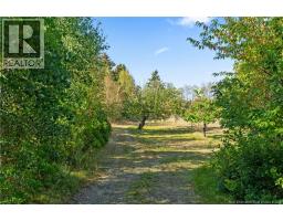 214 Allee De L'ecole, Grande Digue, NB E4R3S2 Photo 15