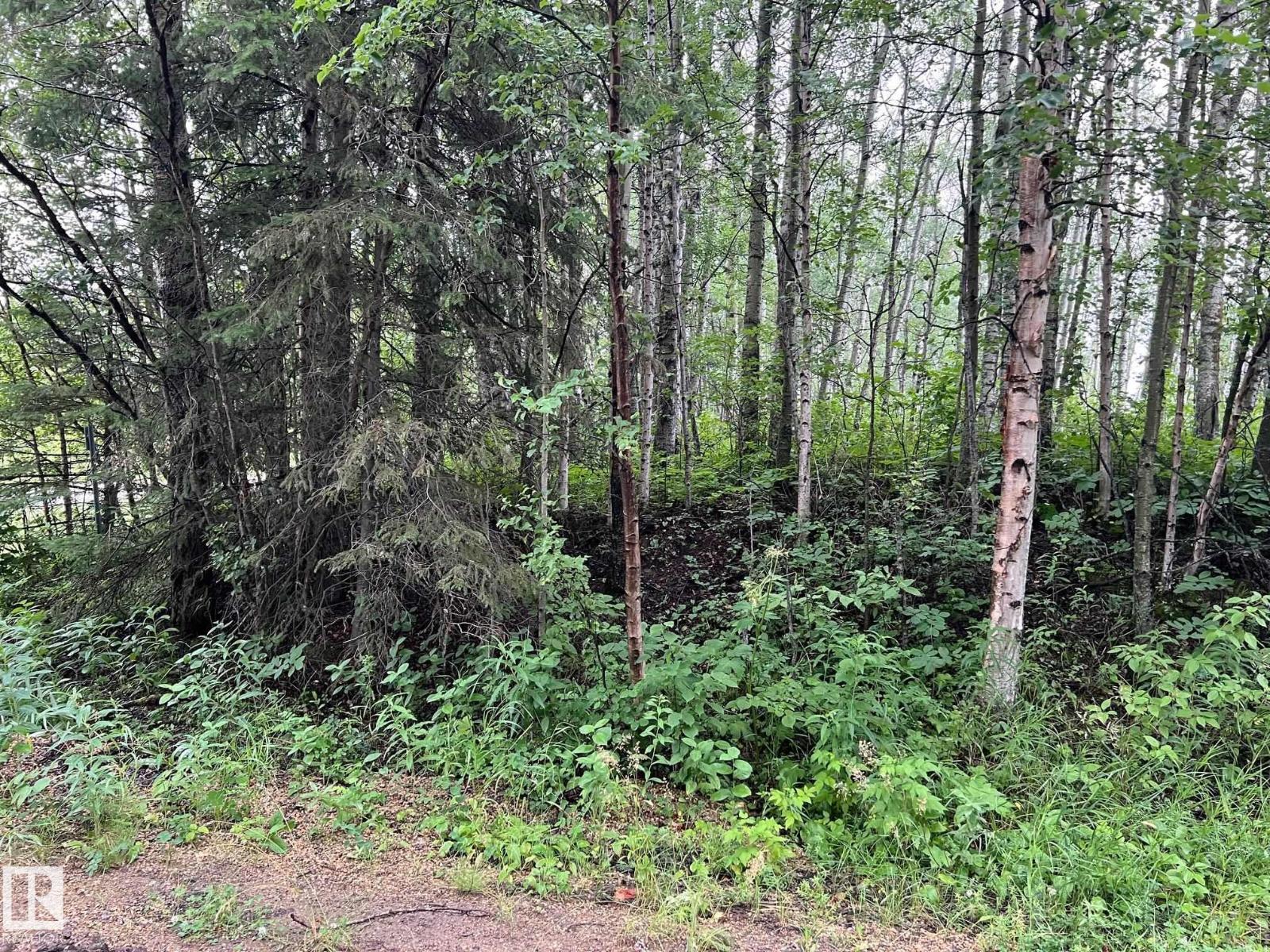 2130 2001 Twp Rd 474 — photo 20