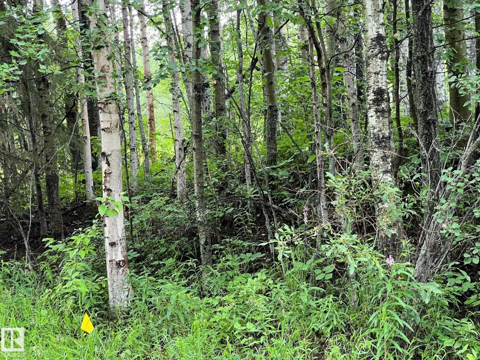 2130 2001 Twp Rd 474 - photo 3