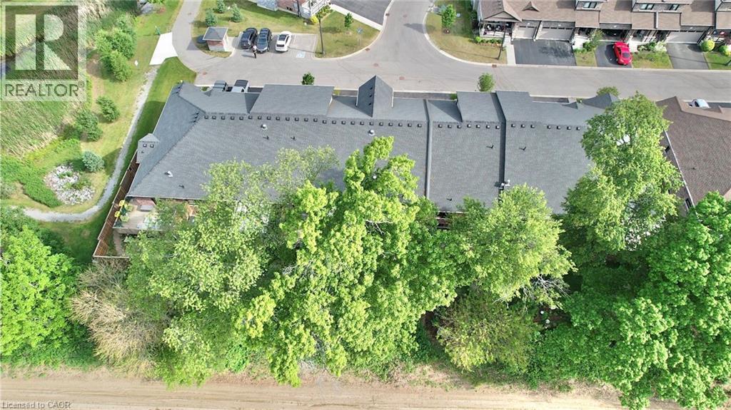7 SERVICEBERRY Lane - 41