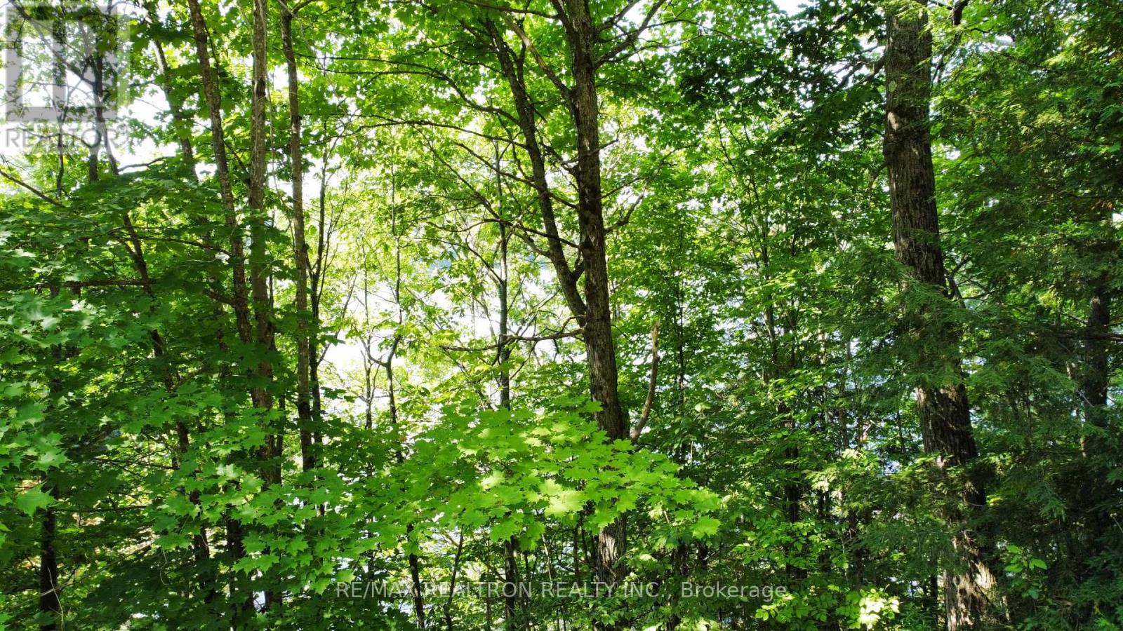 1030 MCCABE ROAD - 7