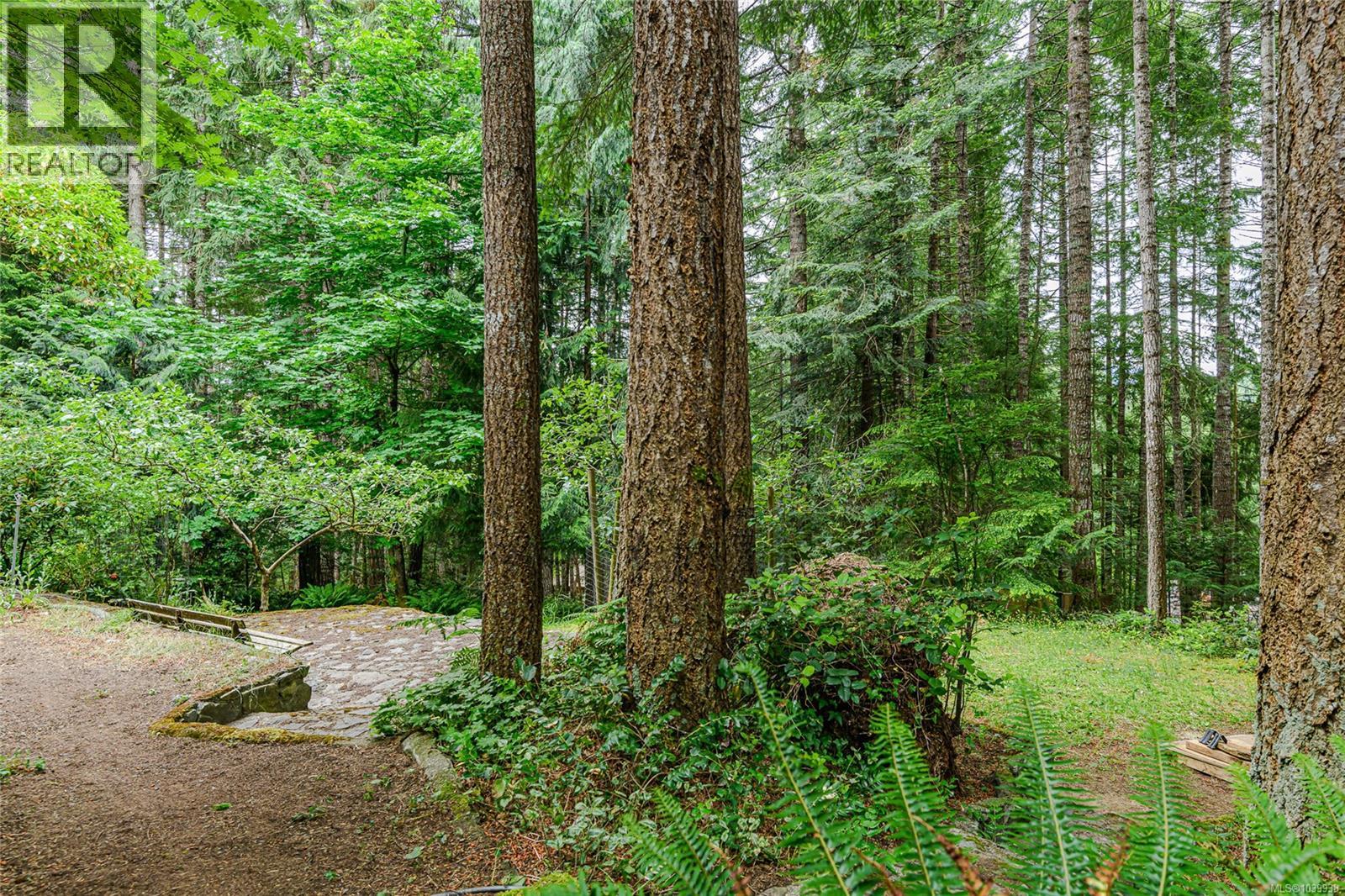 2330 Damascus Rd - 31