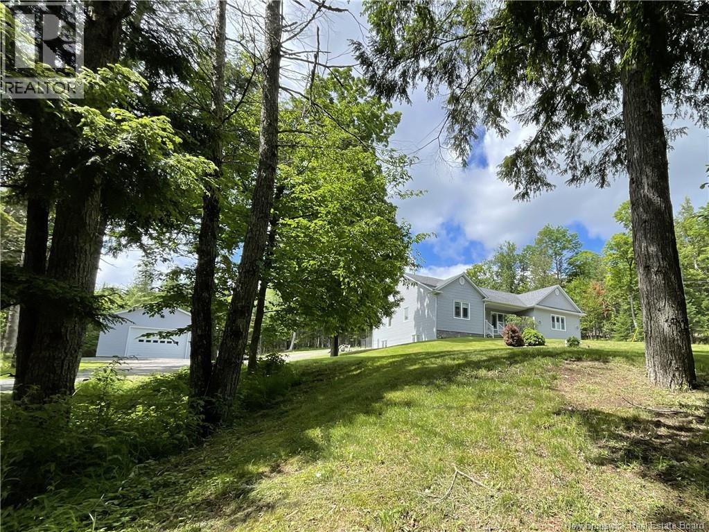 369 Tripp Settlement Rd. Road - 3
