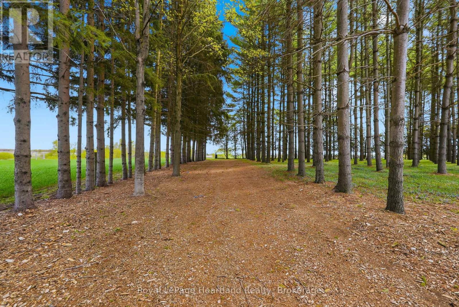 42148 SALEM ROAD - 36