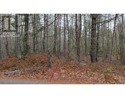 Lot 8 Harbour Acres Road, Molega, NS B0T1E0 Photo 45