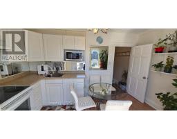 17 Howard Park Avenue, Toronto, ON M6R1V3 Photo 20