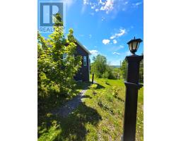 57 MacPherson Avenue thumbnail 28