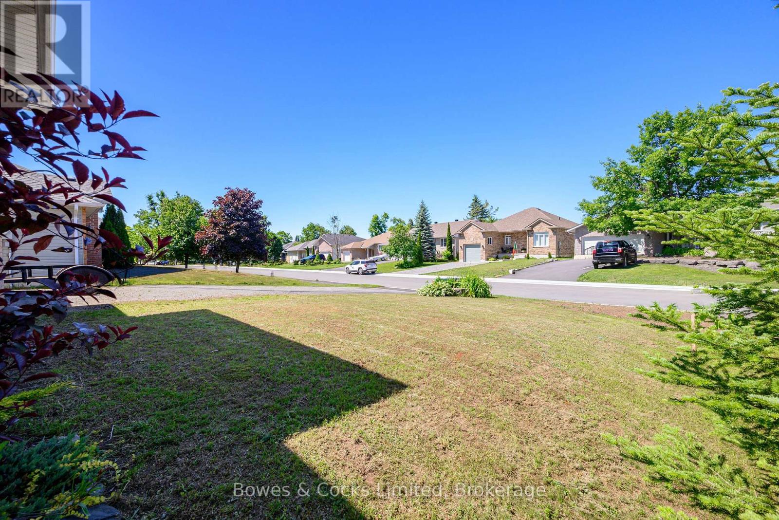 59 BIRCH CRESCENT - 6
