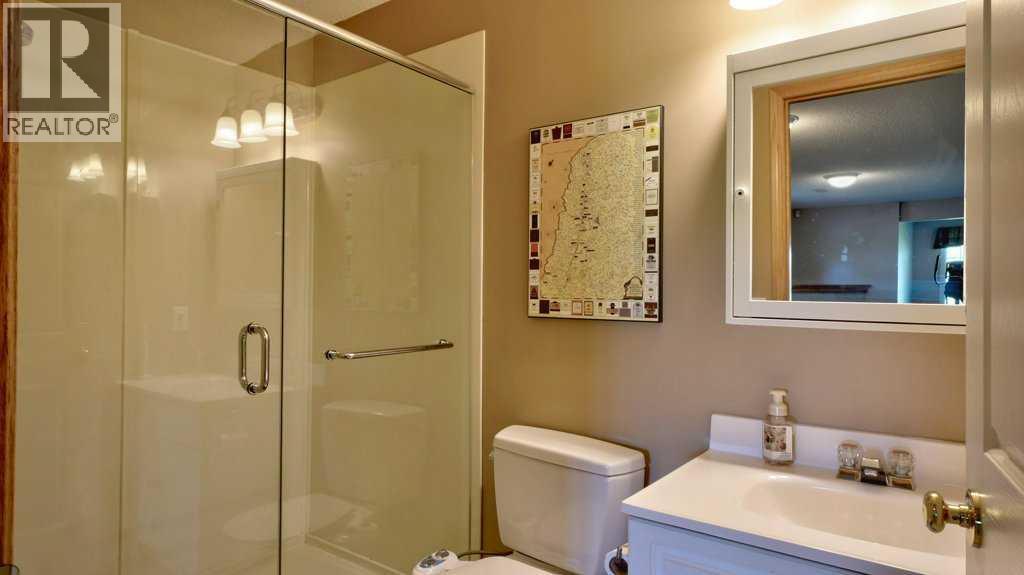 3pc basement bathroom