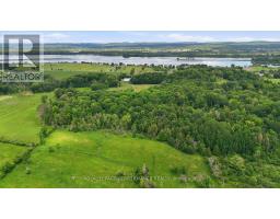 1980 Concession 1 Road, Alfred And Plantagenet, ON K0B1L0 Photo 49