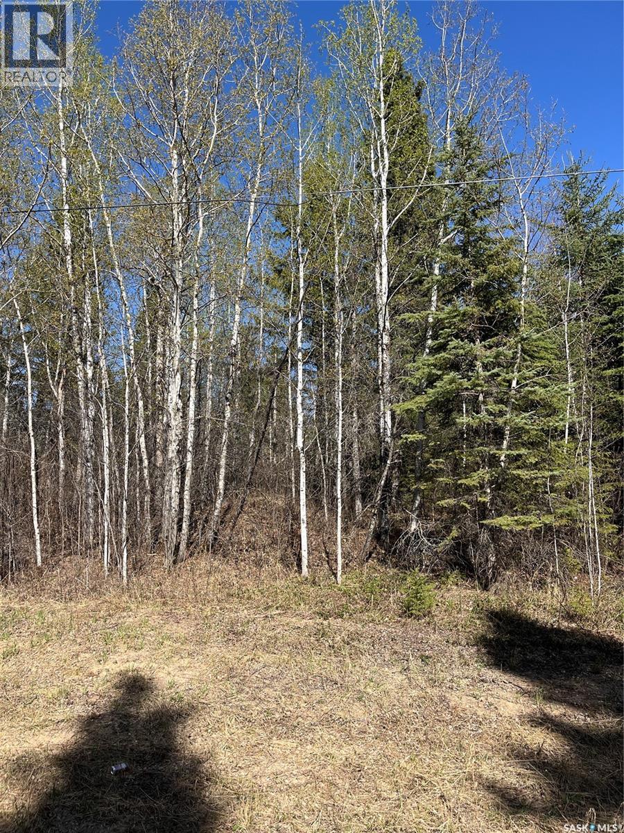 6 Buckingham TRAIL - photo 2