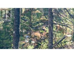 Br-1 Bowers Road, Lower Ohio, NS B0T1W0 Photo 6