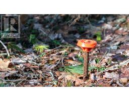 Br-1 Bowers Road, Lower Ohio, NS B0T1W0 Photo 8
