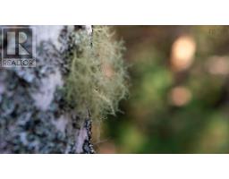 Br-2 Bowers Road, Lower Ohio, NS B0T1W0 Photo 10