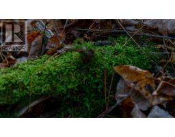 Br-2 Bowers Road, Lower Ohio, NS B0T1W0 Photo 11