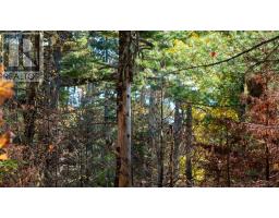 Br-2 Bowers Road, Lower Ohio, NS B0T1W0 Photo 12