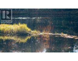 Br-2 Bowers Road, Lower Ohio, NS B0T1W0 Photo 7