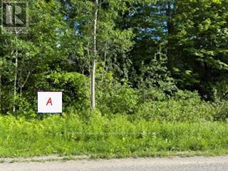 A PIPELINE ROAD, Cramahe — photo 2