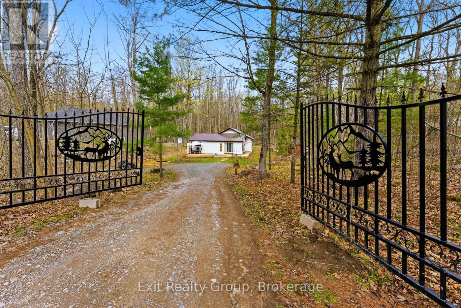 54 PARADISE ROAD - 28