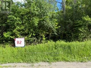 B2 PIPELINE ROAD, Cramahe — photo 2