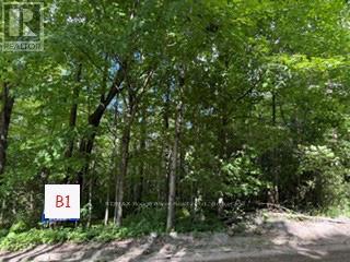 B1 PIPELINE ROAD, Cramahe — photo 2