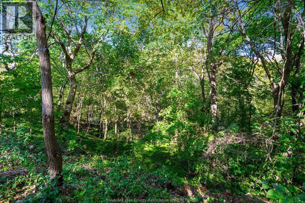 1126 Campbell LANE - 44