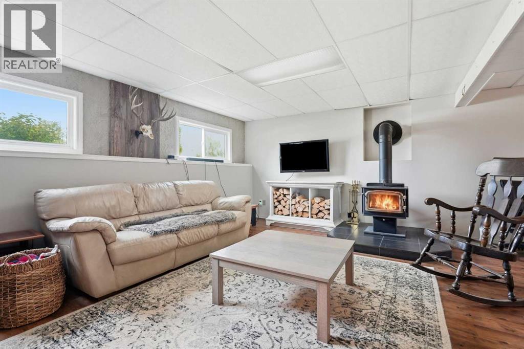 Basement Family Room