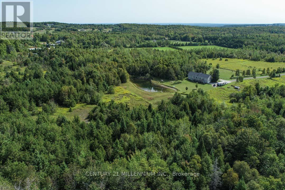 387091 20TH SIDE ROAD - 46