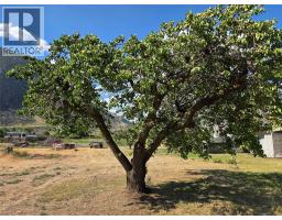 110 9th Avenue, Keremeos, BC V0X1N3 Photo 28