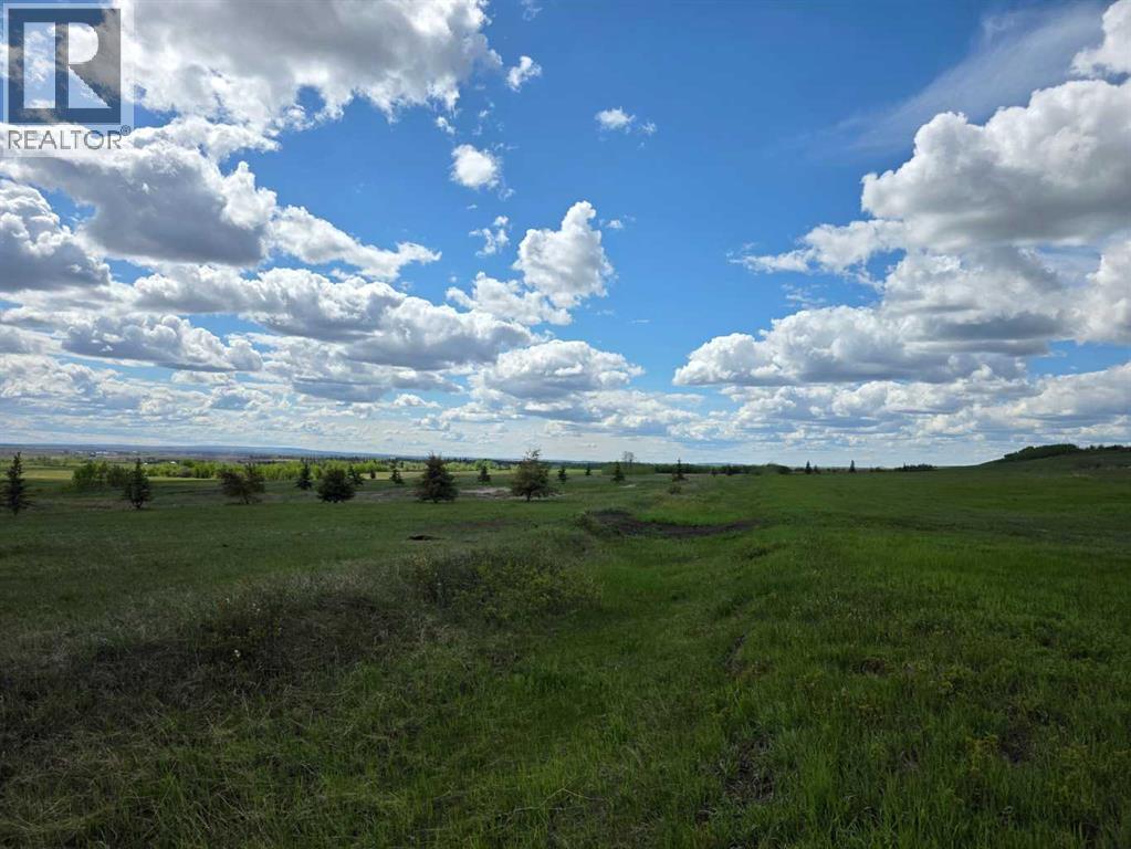 SE22-74-6-W6 62 Range Road - photo 4