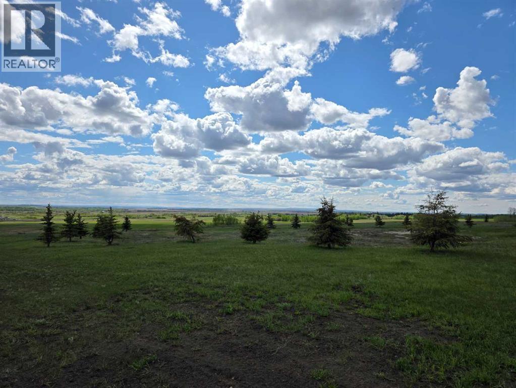 SE22-74-6-W6 62 Range Road - photo 5