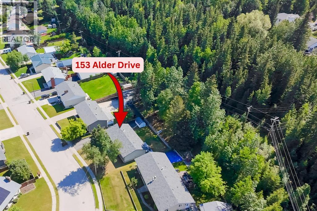153 Alder Drive — photo 48