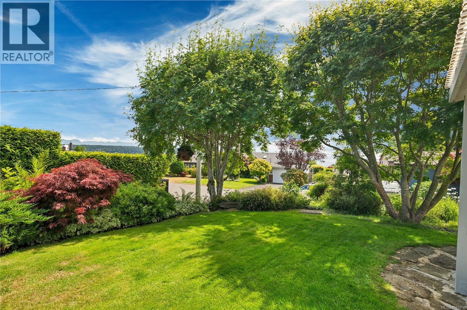 541 Alder St S - 50