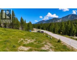 823 Copper Ridge Lane Road, Windermere, BC V0B2L0 Photo 6